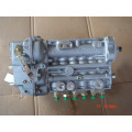 Hochwertige Deutz-Dieselmotor-Ersatzteile F6L912 OEM-Kraftstoffeinspritzpumpe 0223 2620 85MM Platte